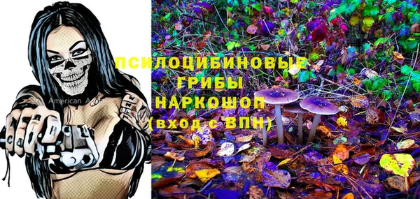 ПСИЛОЦИБИНОВЫЕ ГРИБЫ Абдулино