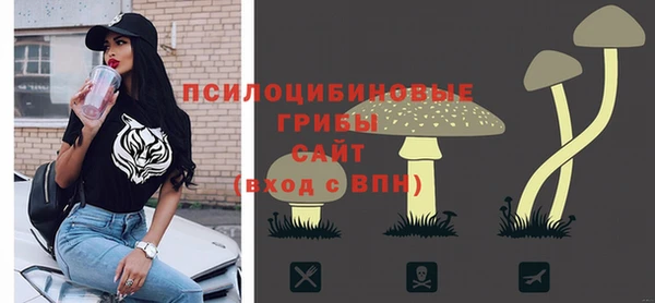 a pvp Абаза
