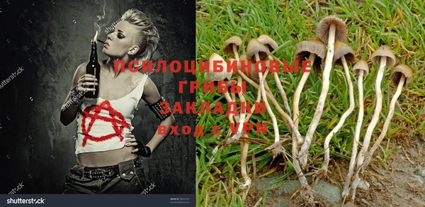 бутират Абинск