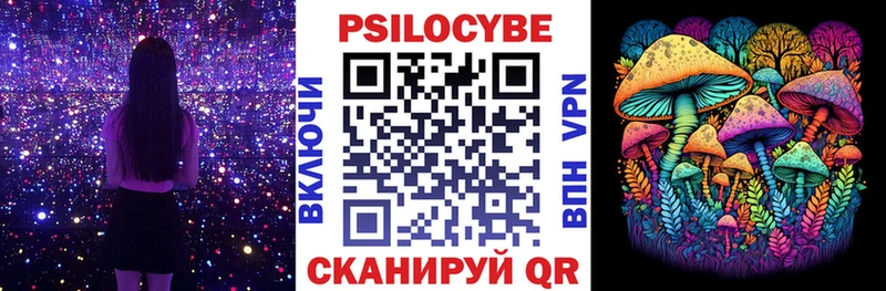 Псилоцибиновые грибы Psilocybine cubensis  Балаково 